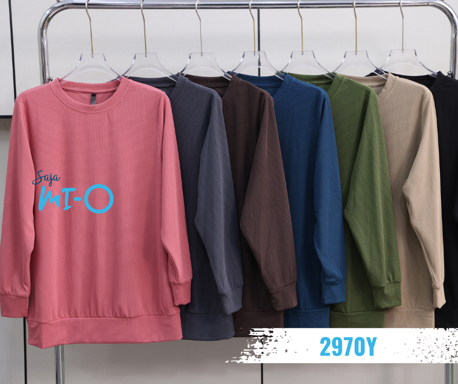 Muslim Fashionable Long Sleeve Top -2970Y